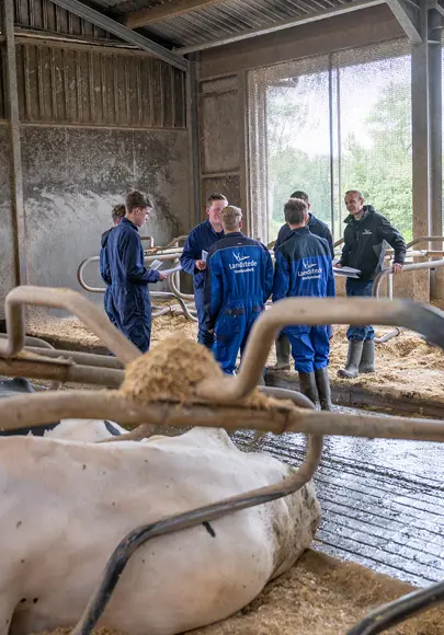 Vakbekwaam Med. Veehouderij Verkleind