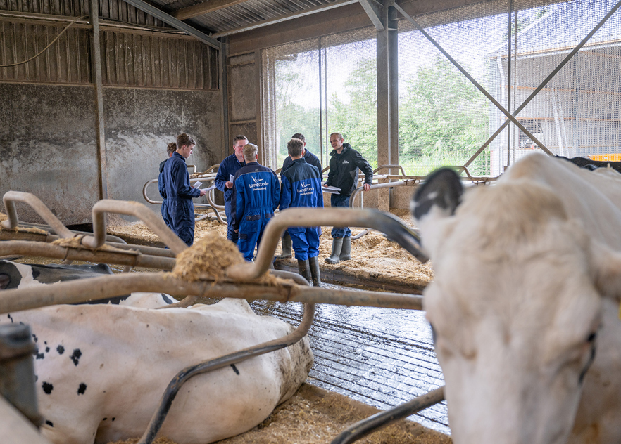 Vakbekwaam Med. Veehouderij Verkleind