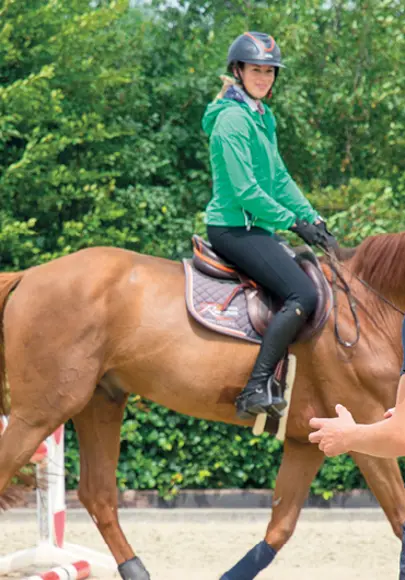 Gend Instructeur Paardensport Houderij Header