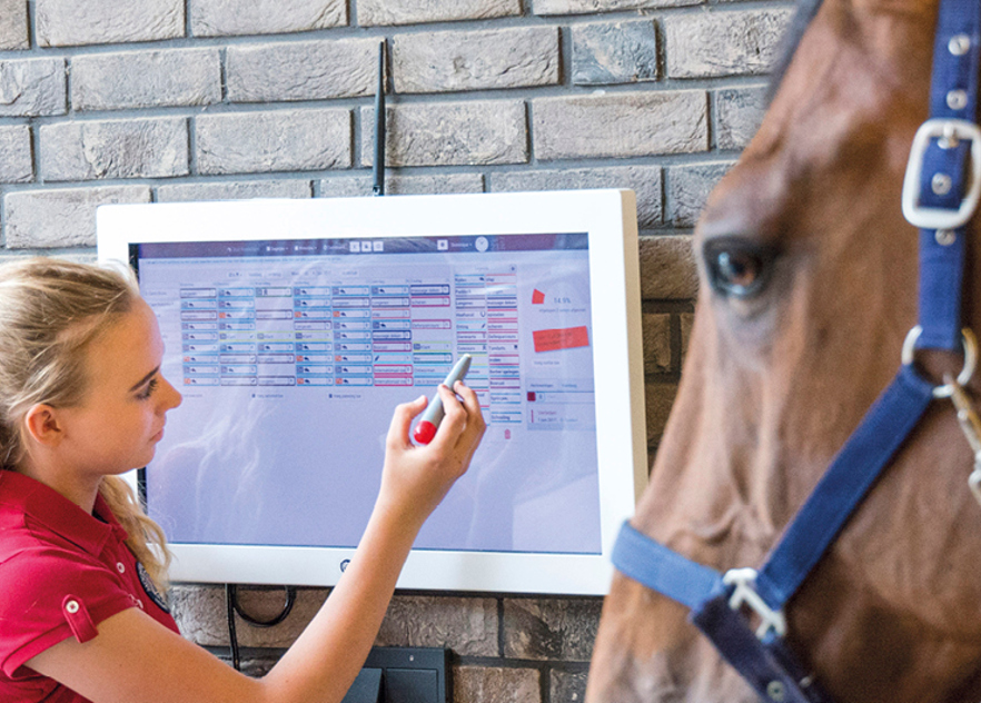 Gend Bedrijfsleider Paardensport Houderij Header