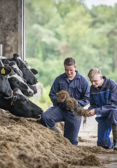 Vakexpert Veehouderij Verkleind