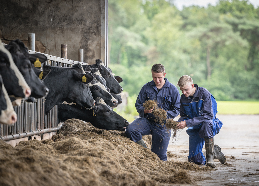 Vakexpert Veehouderij Verkleind
